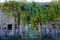 Summit, New Jersey, USA: An abandoned barn overgrown with ivy