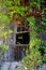 Summit, New Jersey, USA: An abandoned barn overgrown with ivy