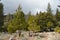 Summit San Gabriel Mountain Sloping Top with Great White Clouds