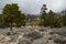 Summit San Gabriel Mountain Sloping Top with Great White Clouds