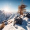 Summit Serenity Snowy Mountain Peak with a View of the Sun-Kissed Valley Below