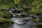 Sumny and Bily creek in autumn morning in Jeseniky mountains