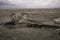 Sump reservoir of froth copper mining tailings dam. Zelazny Most, Rudna, Poland.