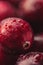 A sumptuous close-up of a cranberry glistens with water droplets