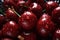 Sumptuous deep red cherries, a tempting treat for the senses