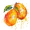 A sumptuous watercolor painting of a mango with a splash effect