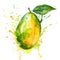 A sumptuous watercolor painting of a mango with a splash effect