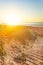 Sun bathes dunes