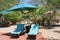 Sun beds parasol garden patio, African resort, Namibia