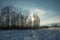 Sun behind a grove and field covered with snow