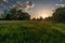 The sun behind the trees of a floodplain casts long shadows on a grassy hill.