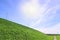 Sun in blue sky, bright green lawn, walkway and road on hill