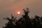 The sun bright orange and muted from wildfire smoke in the air