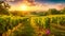 The sun casts a warm glow as it sets over rows of lush grapevines in a picturesque Napa Valley vineyard, Sun setting over a