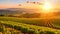 The sun casts a warm golden glow as it sets over the lush vineyard in Napa Valley, California, Grape vineyards in the countryside