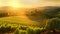 The sun casts a warm and golden glow as it sets over a picturesque vineyard, creating a stunning scene, Sun setting over a