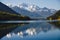 Sun catches tips of golden Cottonwood. Birkenhead Lake, BC, Canada