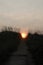 sun caught in sand path to beach, Overcast morning sunrise (Duck, North Carolina)