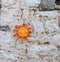 Sun ceramic sculpture on old stone wall