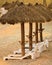 Sun Chairs and Huts on the beach of a resort in Mexico