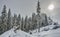 Sun Comes through Clouds in Snowy Alpine Forest