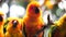 Sun conure birds holding branches in the zoo