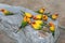 Sun conure parrots eating food on stone