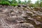 Sun Crack rocks at Phu Hin Rongkla national park, Phitsanulok, T