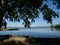 Sun dappled shoreline of a large lake