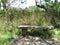 Sun-dappled wooden bench along marsh trail