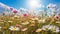 A sun-drenched field of daisies on a beautiful summer\\\'s day.