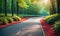 Sun-drenched path through lush green forest