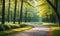 Sun-drenched path through lush green forest