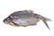 Sun dried bream on a white background