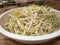 Sun exposed green bean sprouts in plastic tray on dining table