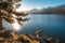 Sun filtering through pine tree above lake Calacuccia in Corsica