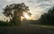 Sun flare and afternoon sky on the farm in Avoyelles Parish Louisiana