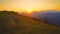 SUN FLARE: Evening sunbeams shine on three bicycle riders speeding down a hill.