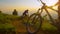 SUN FLARE: Golden sunbeams shine on tourists riding their bicycles along a trail