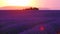 SUN FLARE: Golden sunset illuminates the colorful countryside full of lavender.