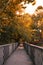 Sun flare popping through fall foliage trees over a long wooden boardwalk