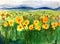 Sun floer field water color painting Beautiful nature landscape