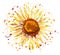 Sun flower graphic design, colorful styles