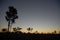 Sun going down in the Australian outback, night sky