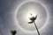 A Sun Halo formed by Ice Crystals in the caribbean