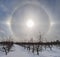 Sun halo in winter sky