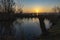 The sun has just risen above Zoetermeer and is shining on the pruned willows along the banks of Lake Zoetermeerse Plas