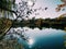 Sun hatching in a pond. Solar track. Blue water and reflection of plants and sky in it. Botanical garden in the fall.