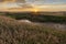 Sun on the Horizon in Grasslands National Park