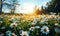 Sun-kissed, flowering daisy field with a vibrant display of white petals and yellow centers surrounded by lush green grass under a